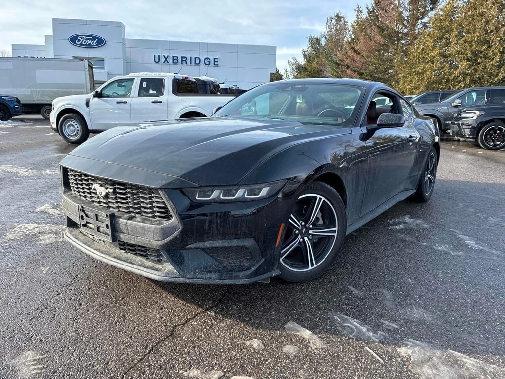 Ford Mustang * EcoBoost * CARFAX * ��� ������������ ������ | Mobile.bg � ����������� 1