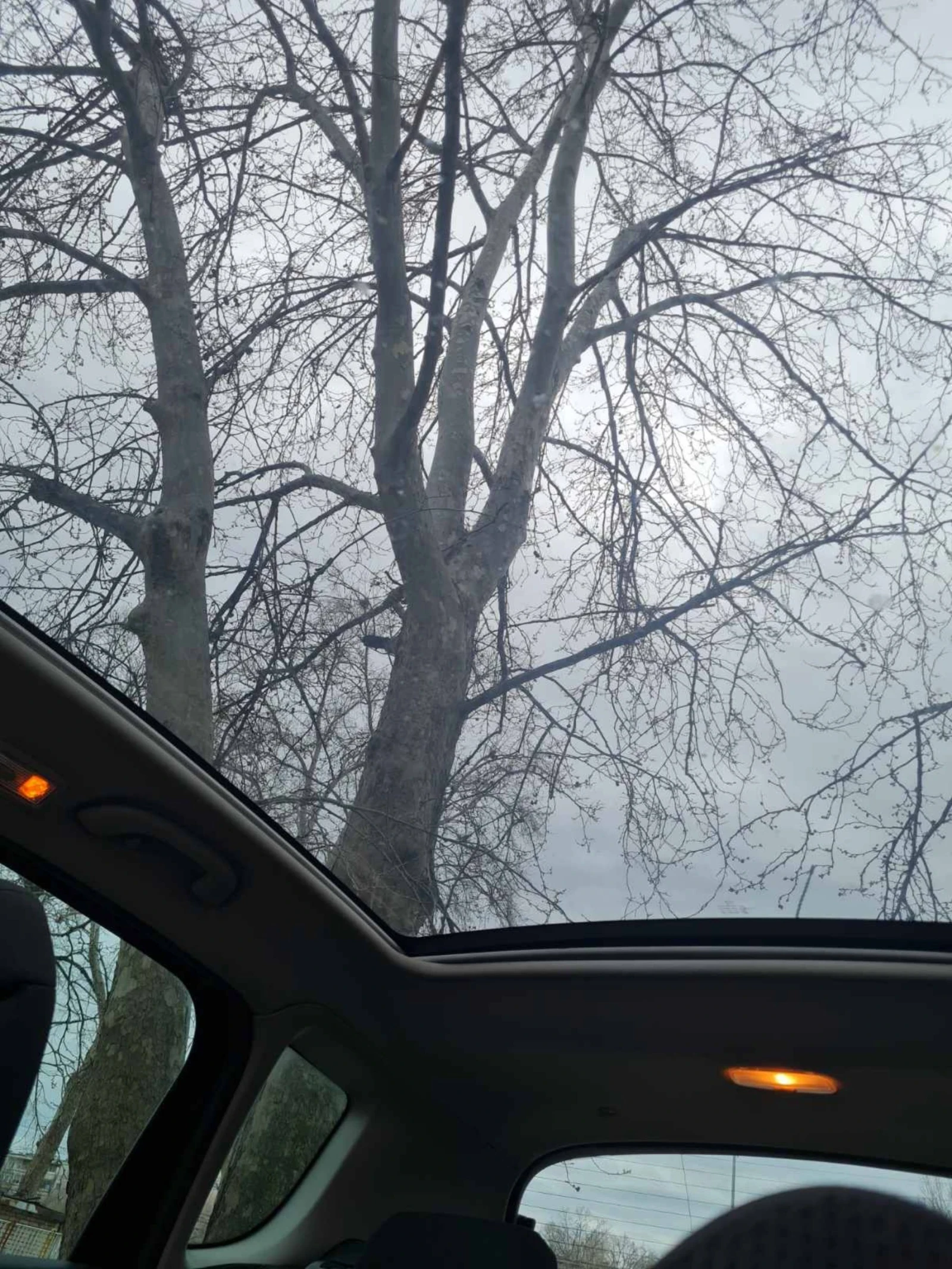 Peugeot 3008, снимка 9 - Автомобили и джипове - 54032130