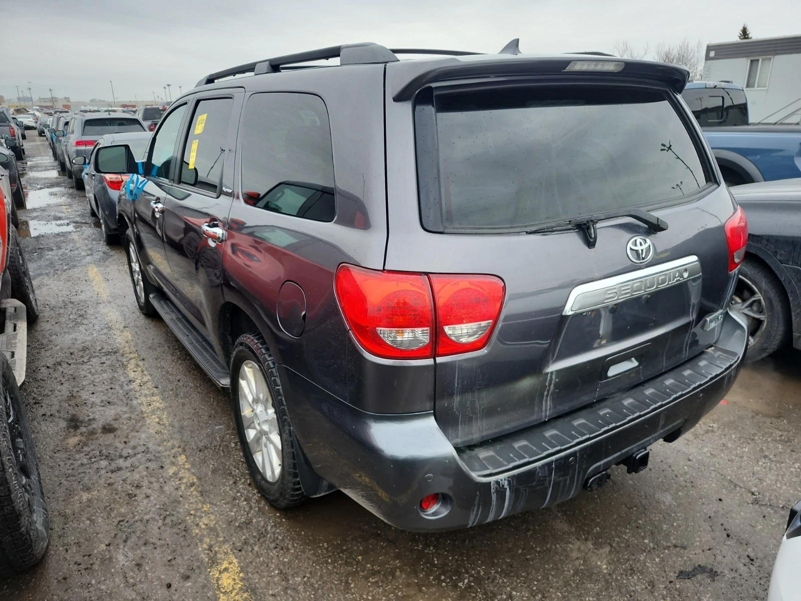 Toyota Sequoia PLATINUM * * AWD * * CARFAX * * ���� ������ * *  | Mobile.bg � ����������� 3
