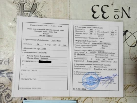 Лодка Ranieri open, снимка 9 - Воден транспорт - 53656050