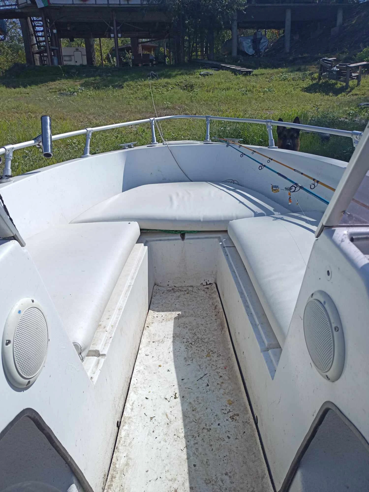 Лодка Ranieri open - изображение 5