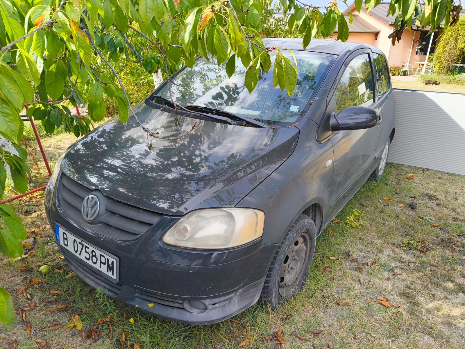 VW Fox