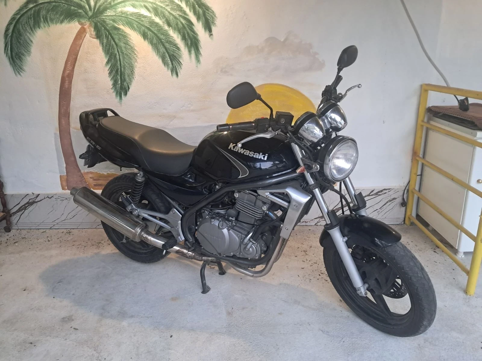 Kawasaki ER