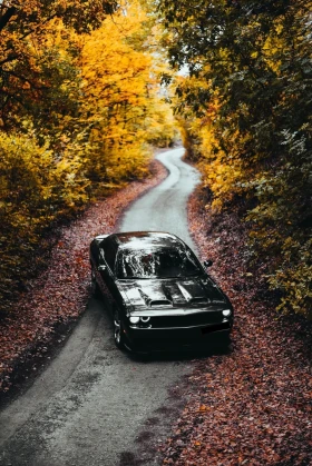 Dodge Challenger 5.7 HEMI RT/SRT* * * ALPINESOUND*  | Mobile.bg    5