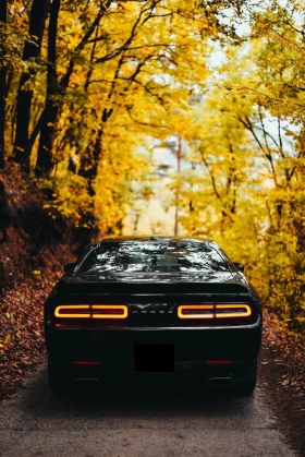 Dodge Challenger 5.7 HEMI RT/SRT* * * ALPINESOUND*  | Mobile.bg    4