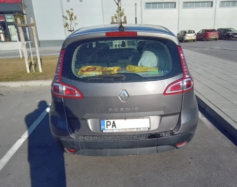 Renault Scenic 1.9 dCi, снимка 4 - Автомобили и джипове - 53157669