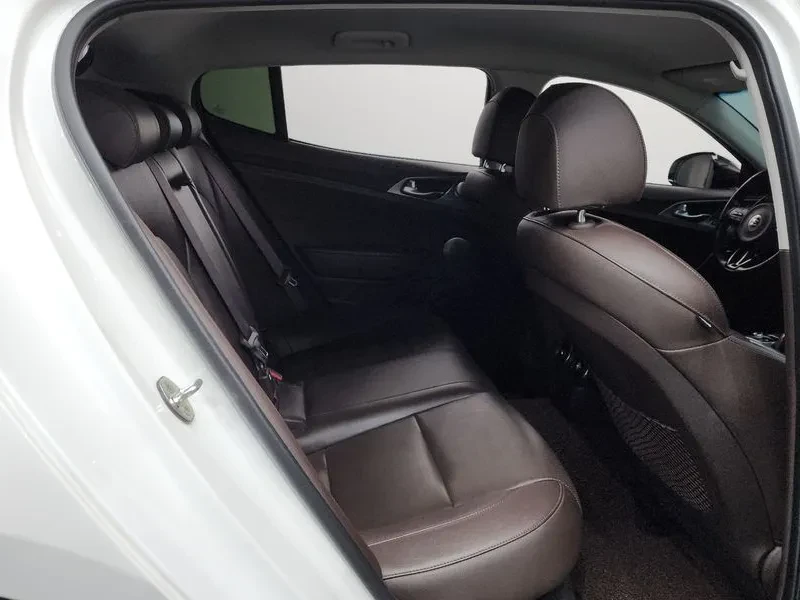 Kia Stinger 2.0 Turbo 2Wd Dream Edition, снимка 12 - Автомобили и джипове - 55090224