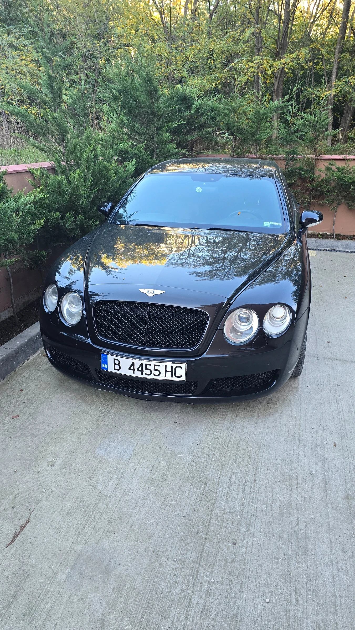 Bentley Continental  - изображение 7