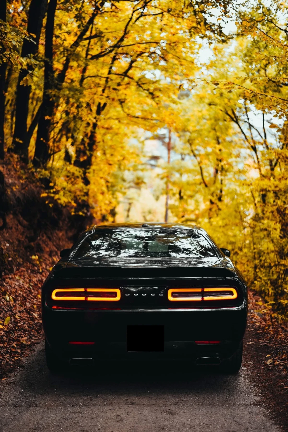 Dodge Challenger 5.7 HEMI RT/SRT* * * ALPINESOUND*  | Mobile.bg   4