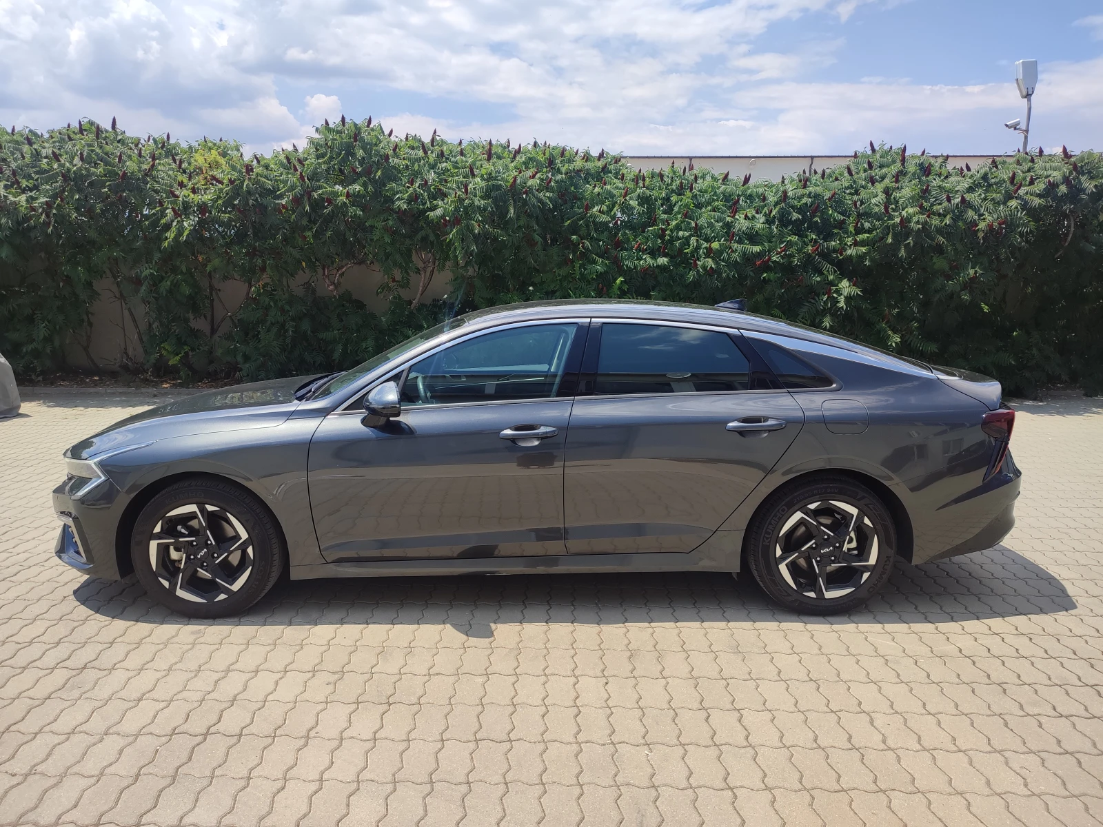 Kia K5 2.0 Lpi (For Rental Car) Prestige, снимка 2 - Автомобили и джипове - 55036442