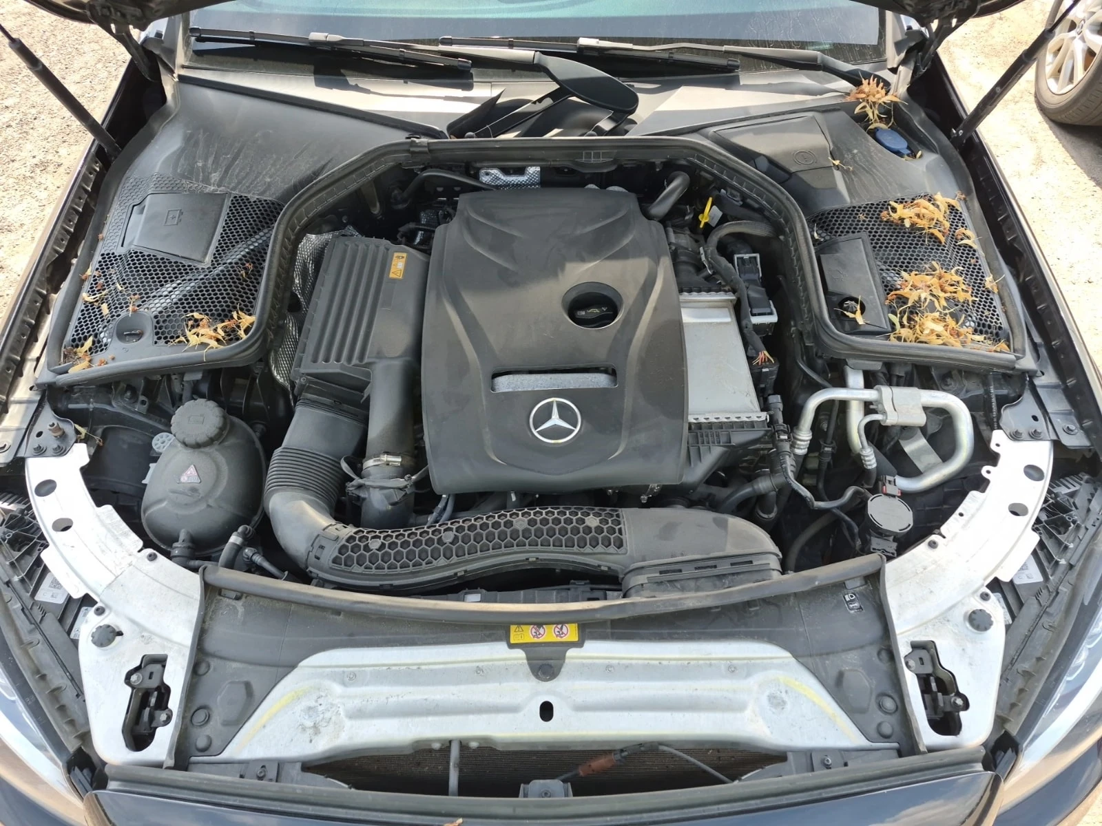 Mercedes-Benz C 300 * CARFAX * ���� �� �� | Mobile.bg � ����������� 15