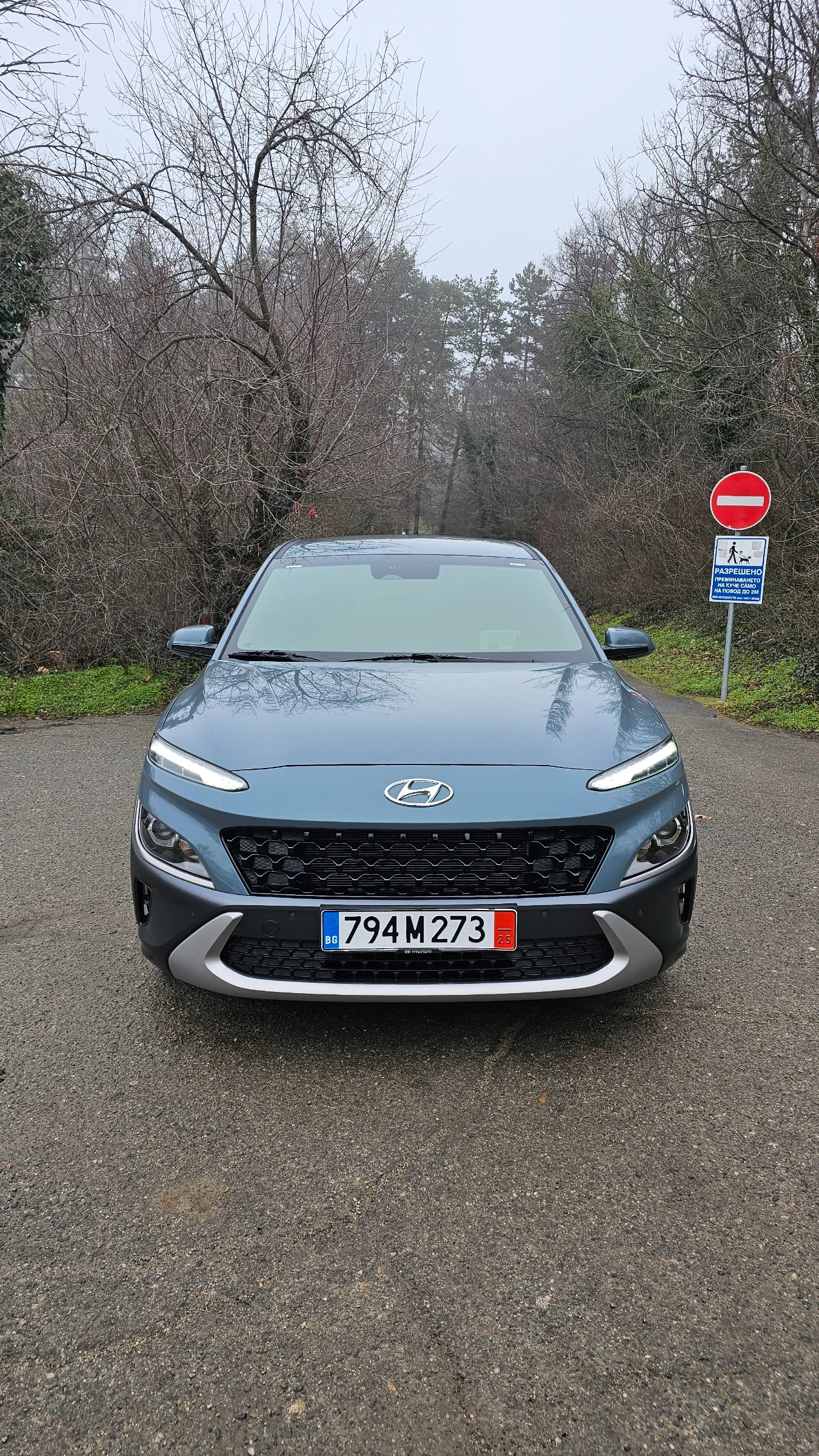 Hyundai Kona 2.0 Modern Choice, ���� �� ���� �����, 70000�� | Mobile.bg � ����������� 1