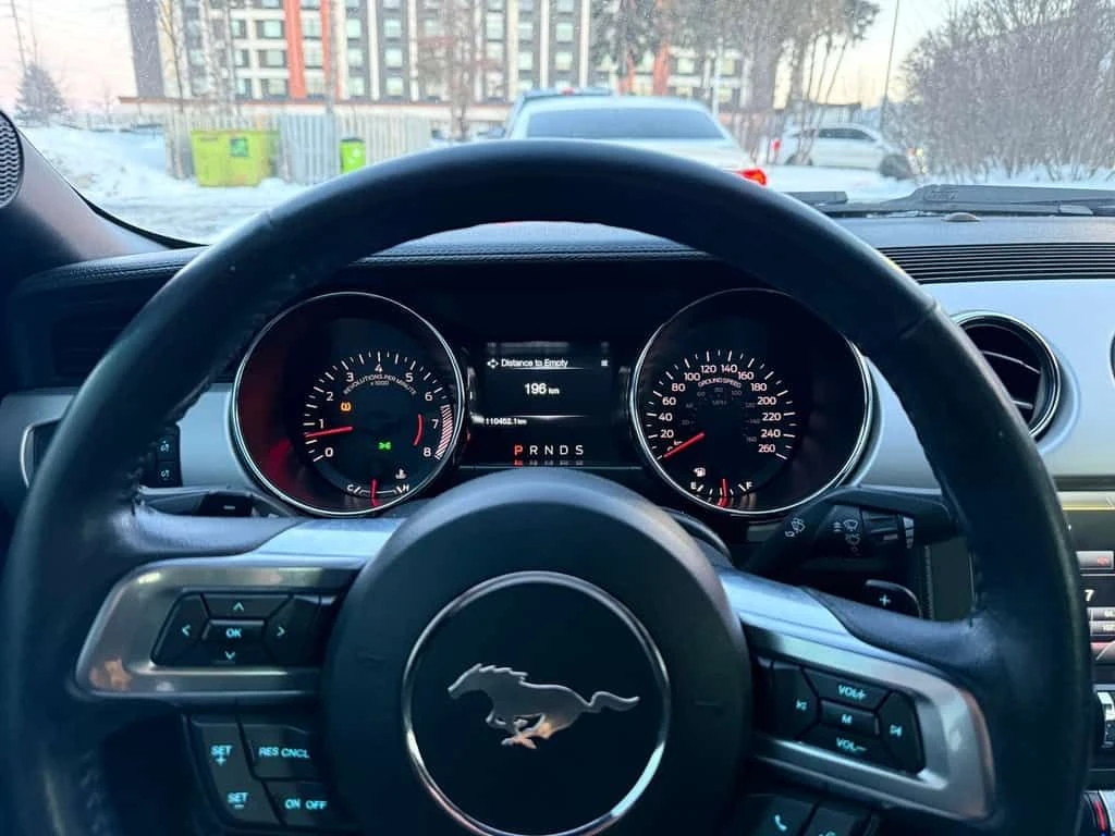 Ford Mustang * 2dr Conv GT Premium * CARFAX *  - изображение 5