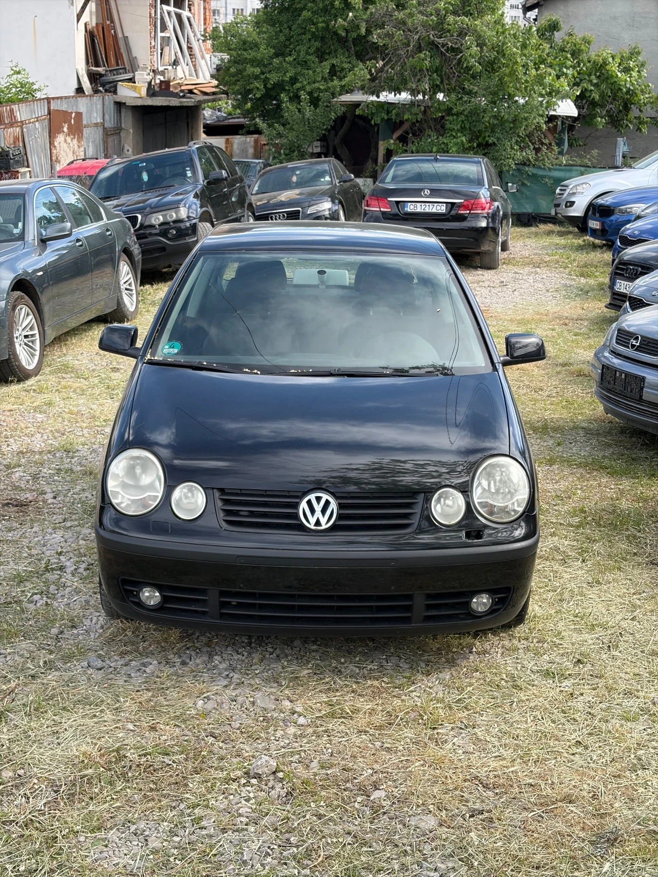 VW Polo