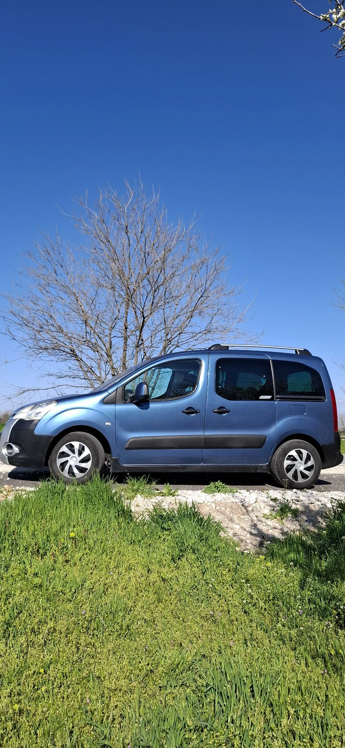 Citroen Berlingo Berlingo XTR, снимка 2 - Автомобили и джипове - 54902543