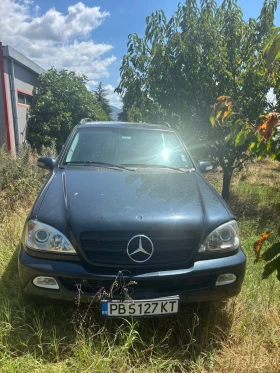 Mercedes-Benz ML 270, снимка 1