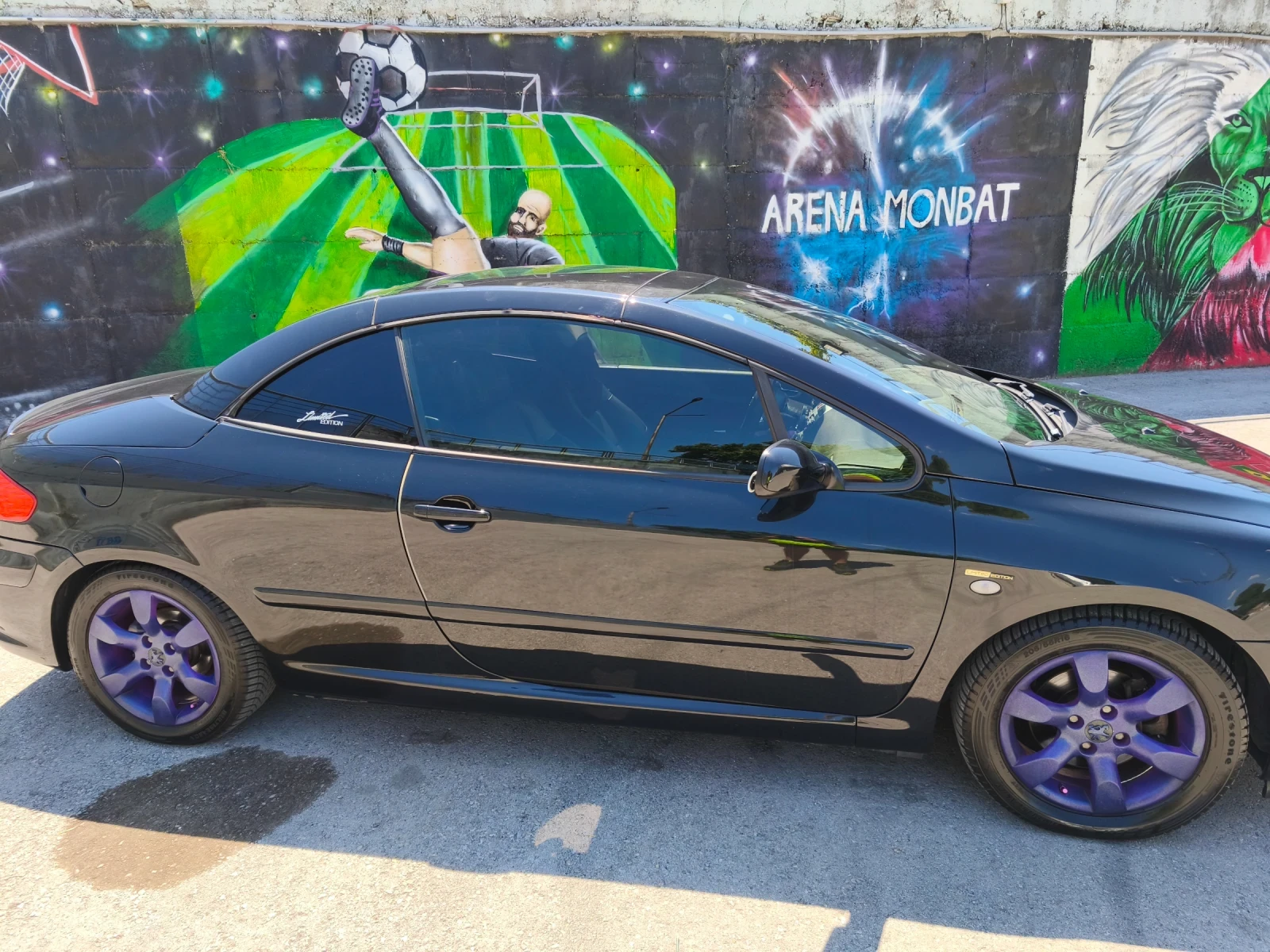 Peugeot 307 2.0 CC, снимка 15 - Автомобили и джипове - 54949106