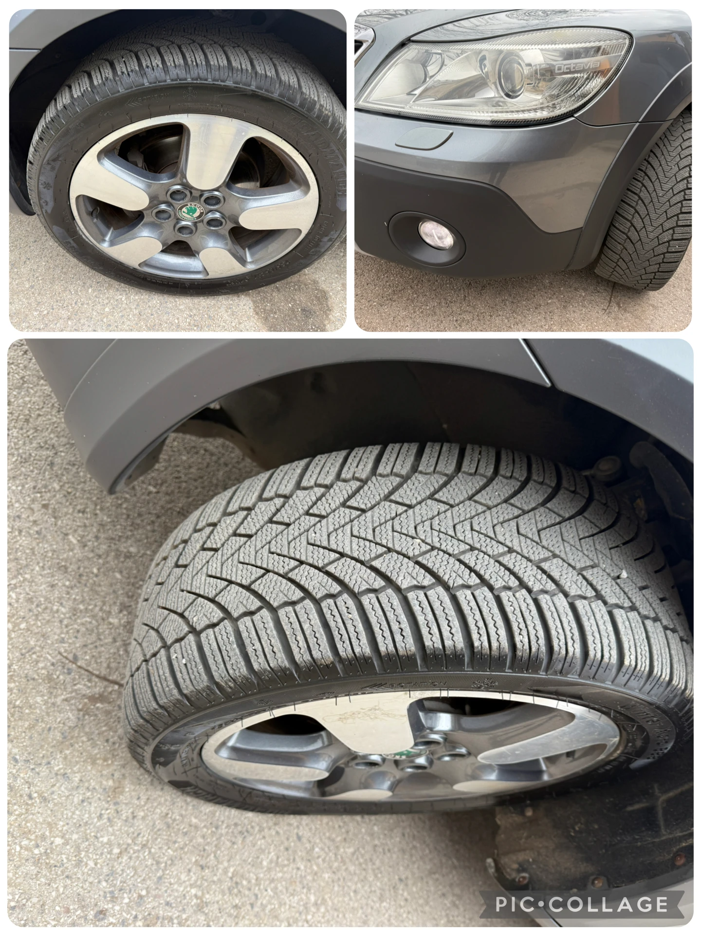 Skoda Octavia Scout 4x4 Navigaciq Koja | Mobile.bg   16