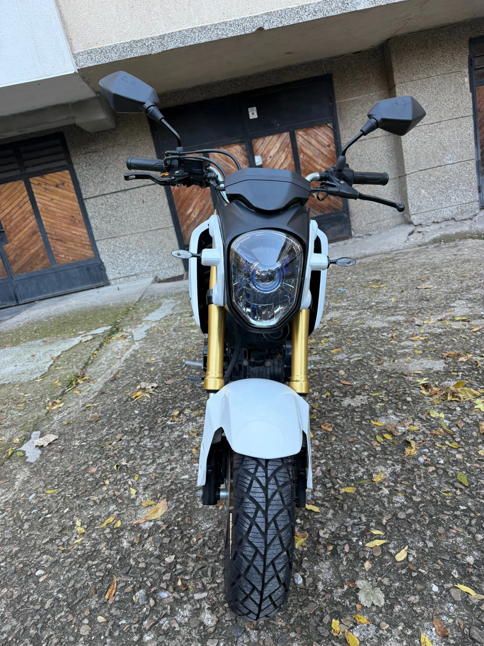 Honda MSX125 | Mobile.bg � ����������� 2