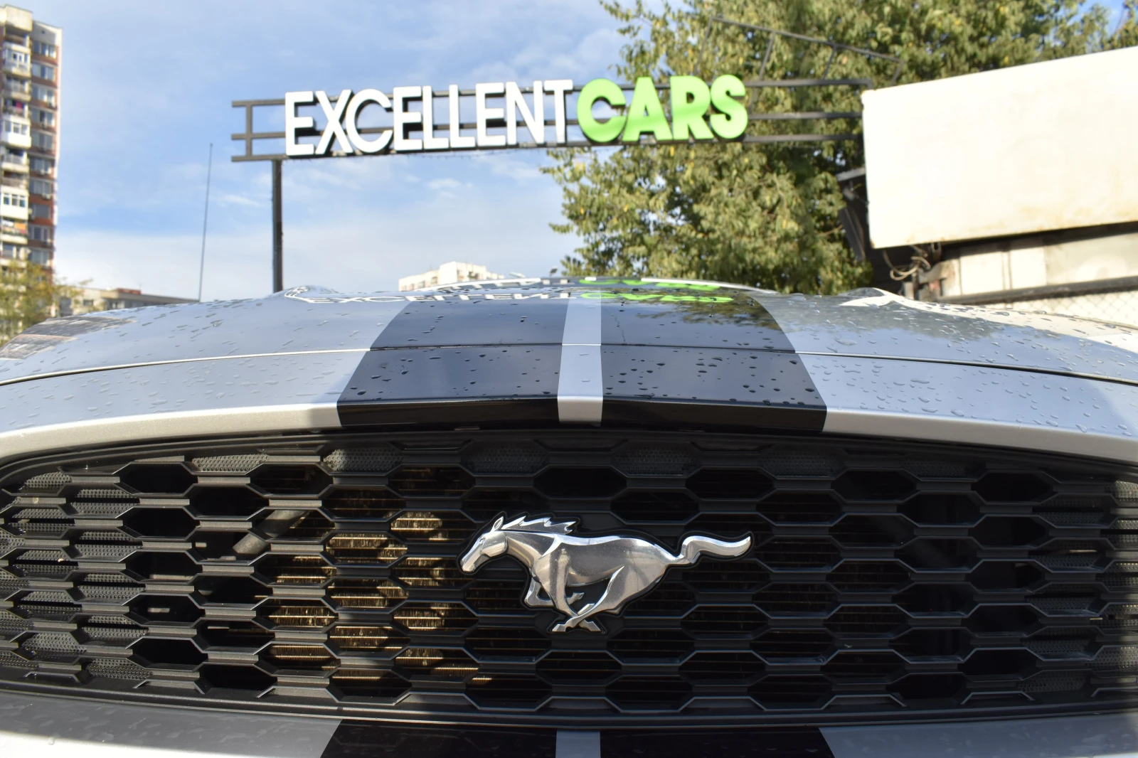 Ford Mustang 2.3ECO-BOOST*  | Mobile.bg — изображение 17