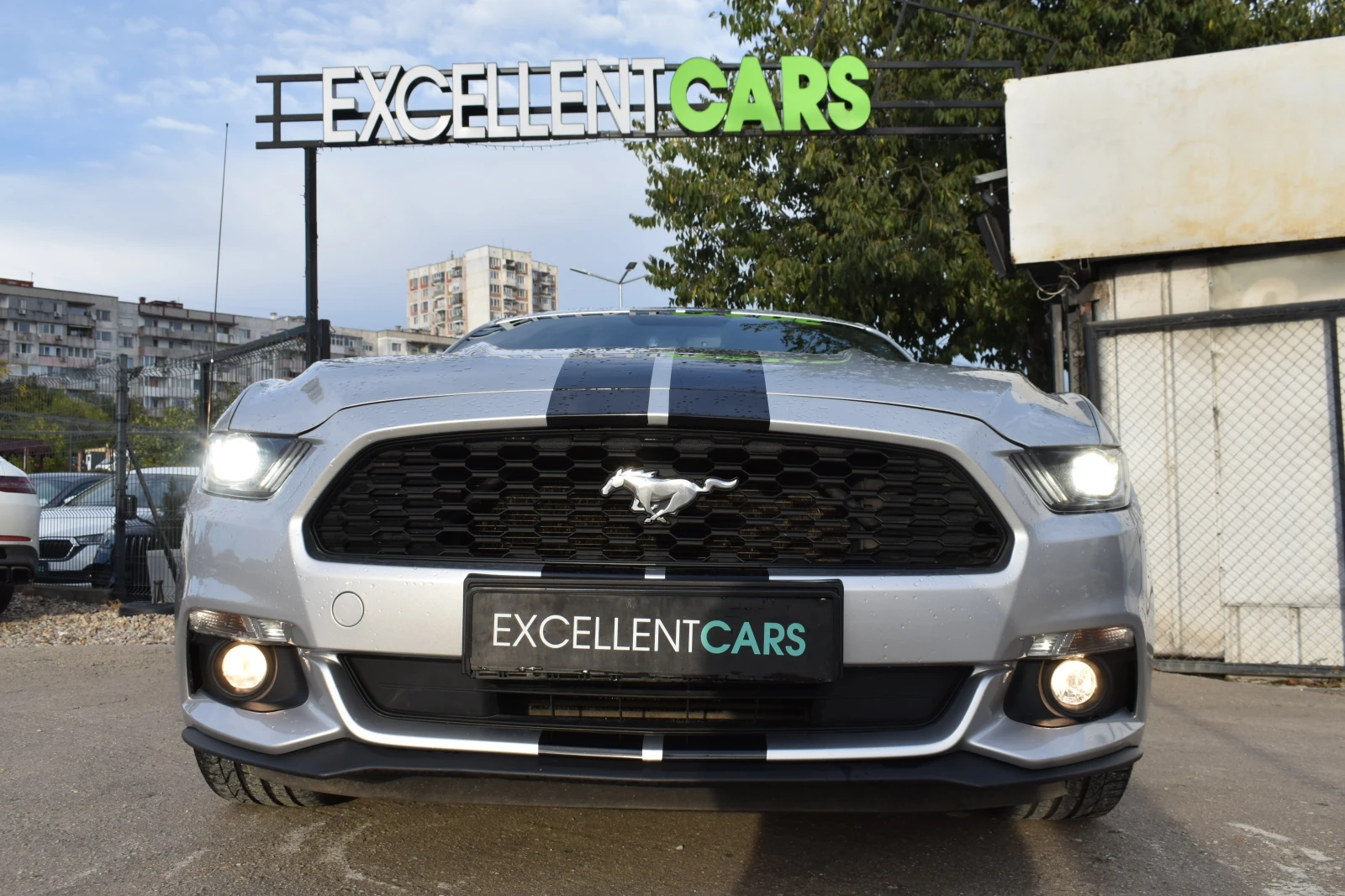 Ford Mustang 2.3ECO-BOOST*  - изображение 8