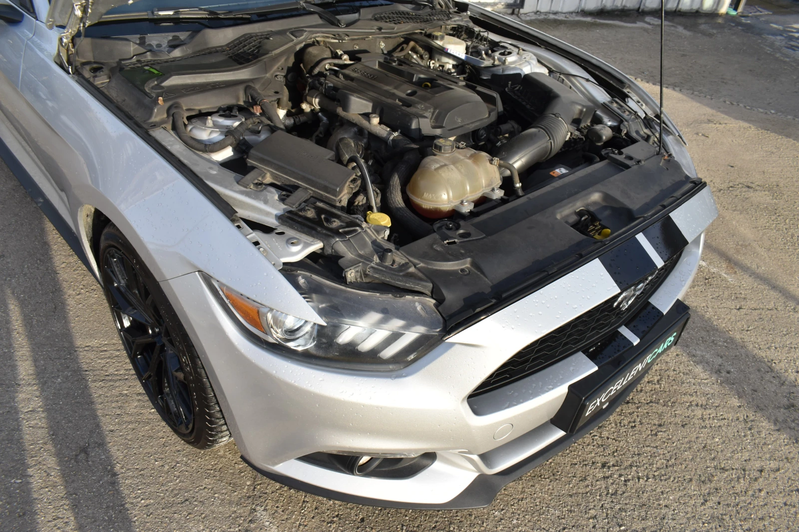 Ford Mustang 2.3ECO-BOOST*  | Mobile.bg — изображение 16