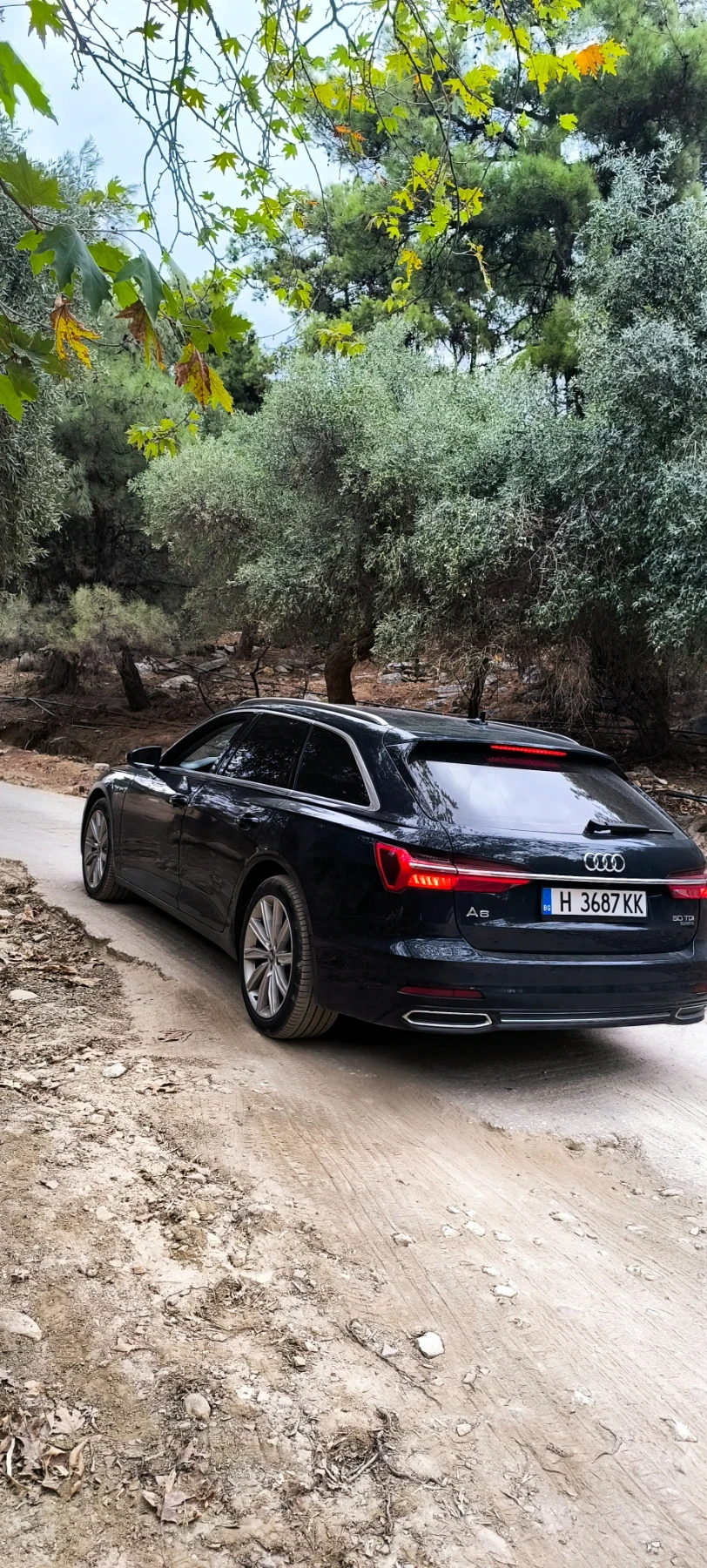 Audi A6 50TDI - изображение 6