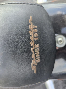 Harley-Davidson Sportster 1200 Custom , снимка 7