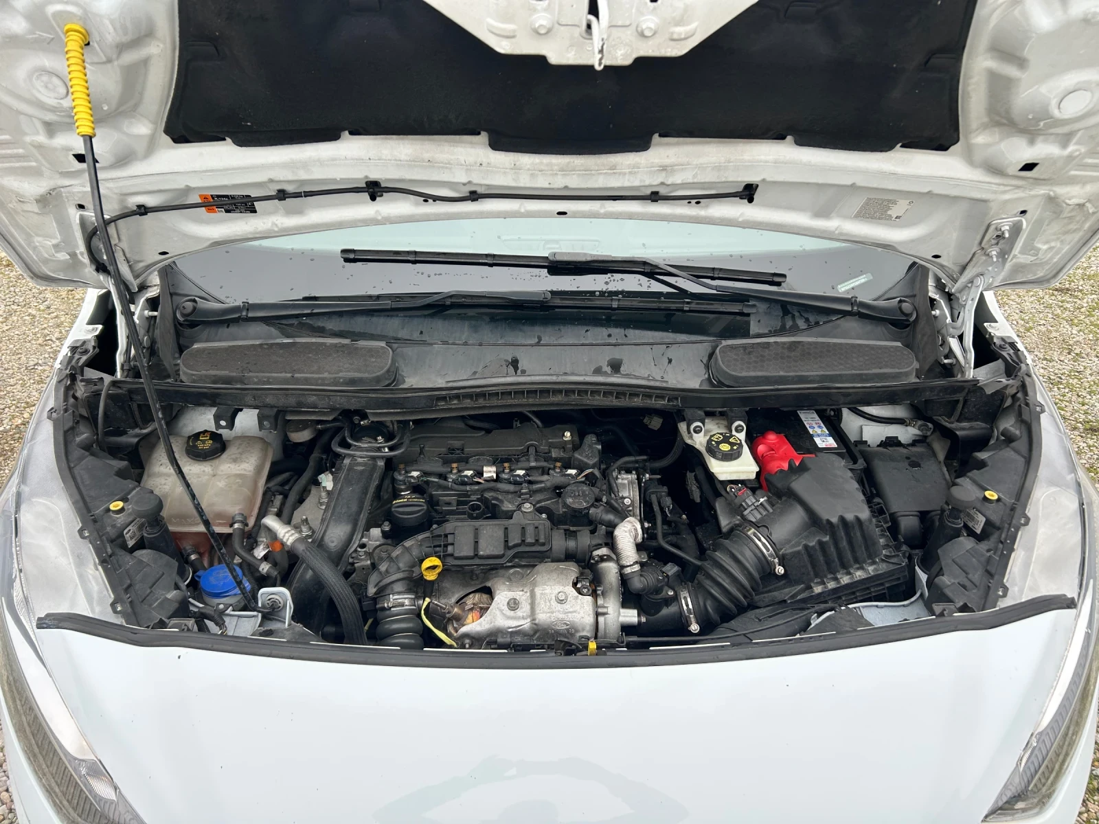 Ford Connect 1.5d 120kc 3-persons | Mobile.bg � ����������� 16