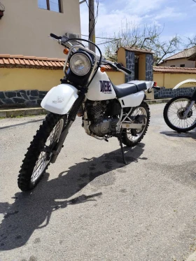     Suzuki Djebel
