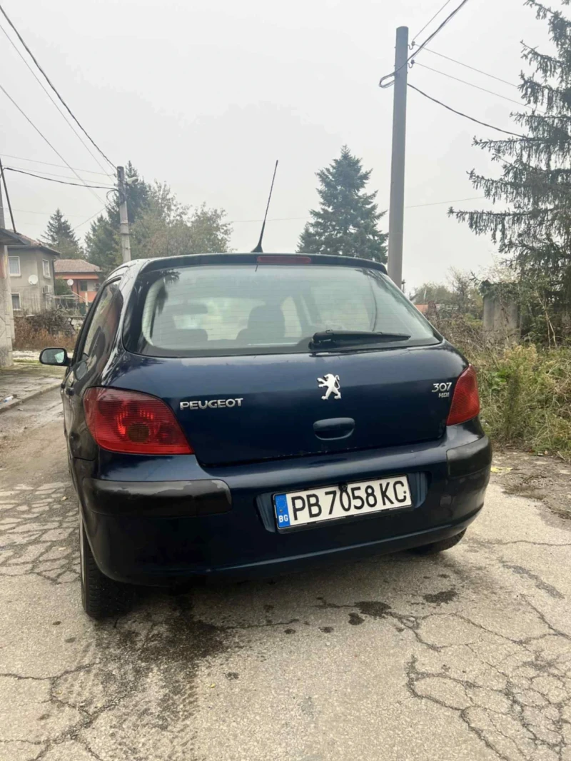 Peugeot 307 1, 6 HDI, снимка 4 - Автомобили и джипове - 52354526