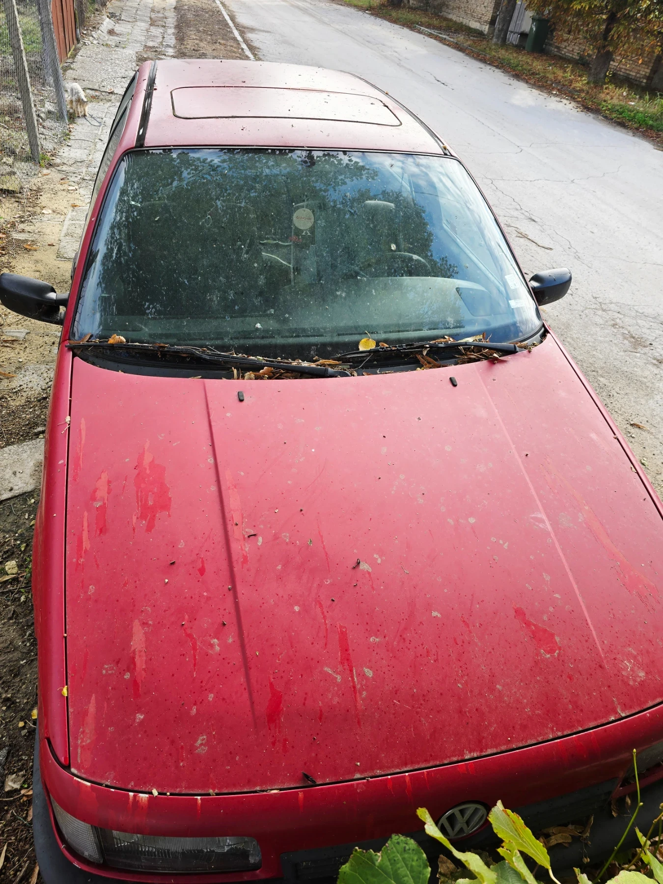 VW Passat  | Mobile.bg   3