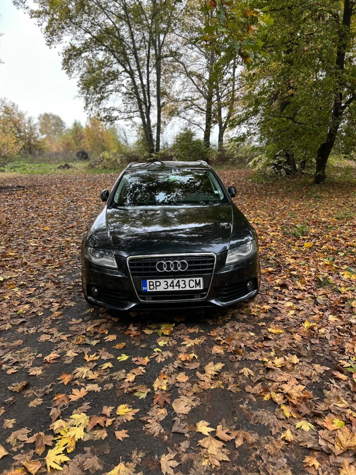 Audi A4 2.0 TDI, снимка 1