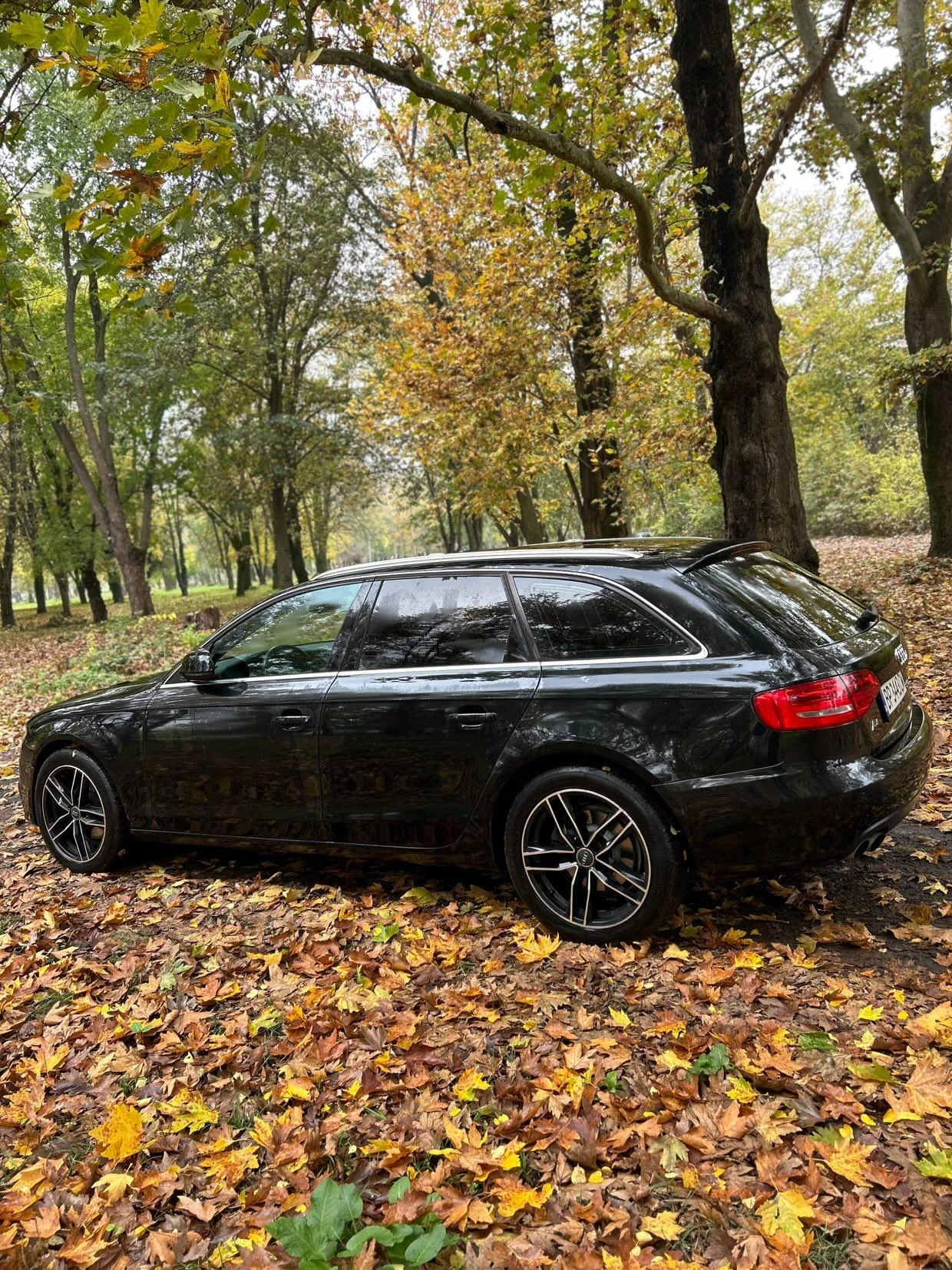 Audi A4 2.0 TDI - изображение 4