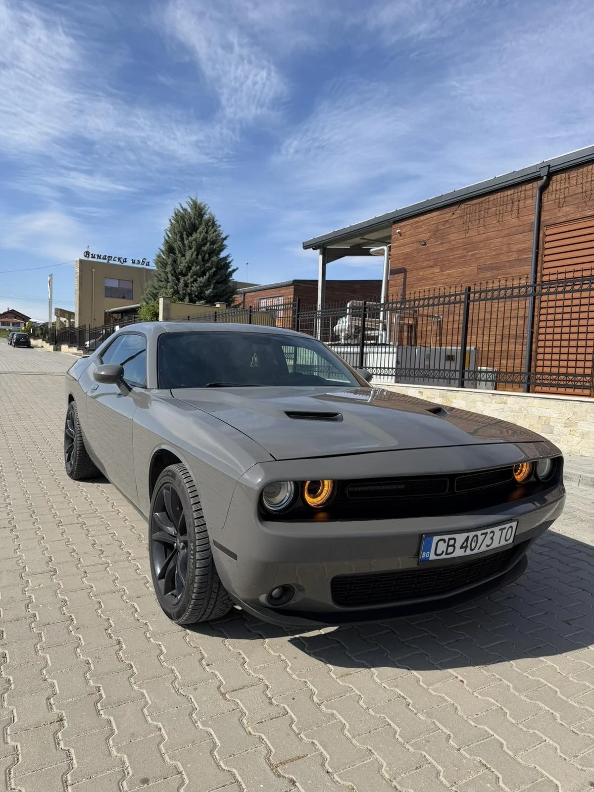 Dodge Challenger, снимка 2 - Автомобили и джипове - 54361551