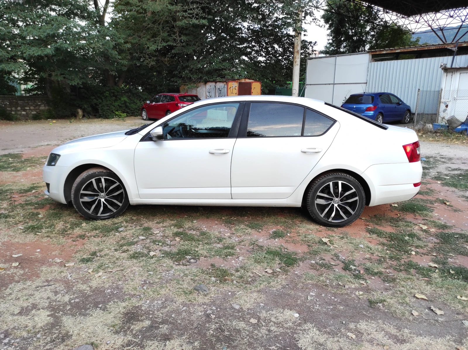 Skoda Octavia 1.6TDCI 90кс - изображение 8