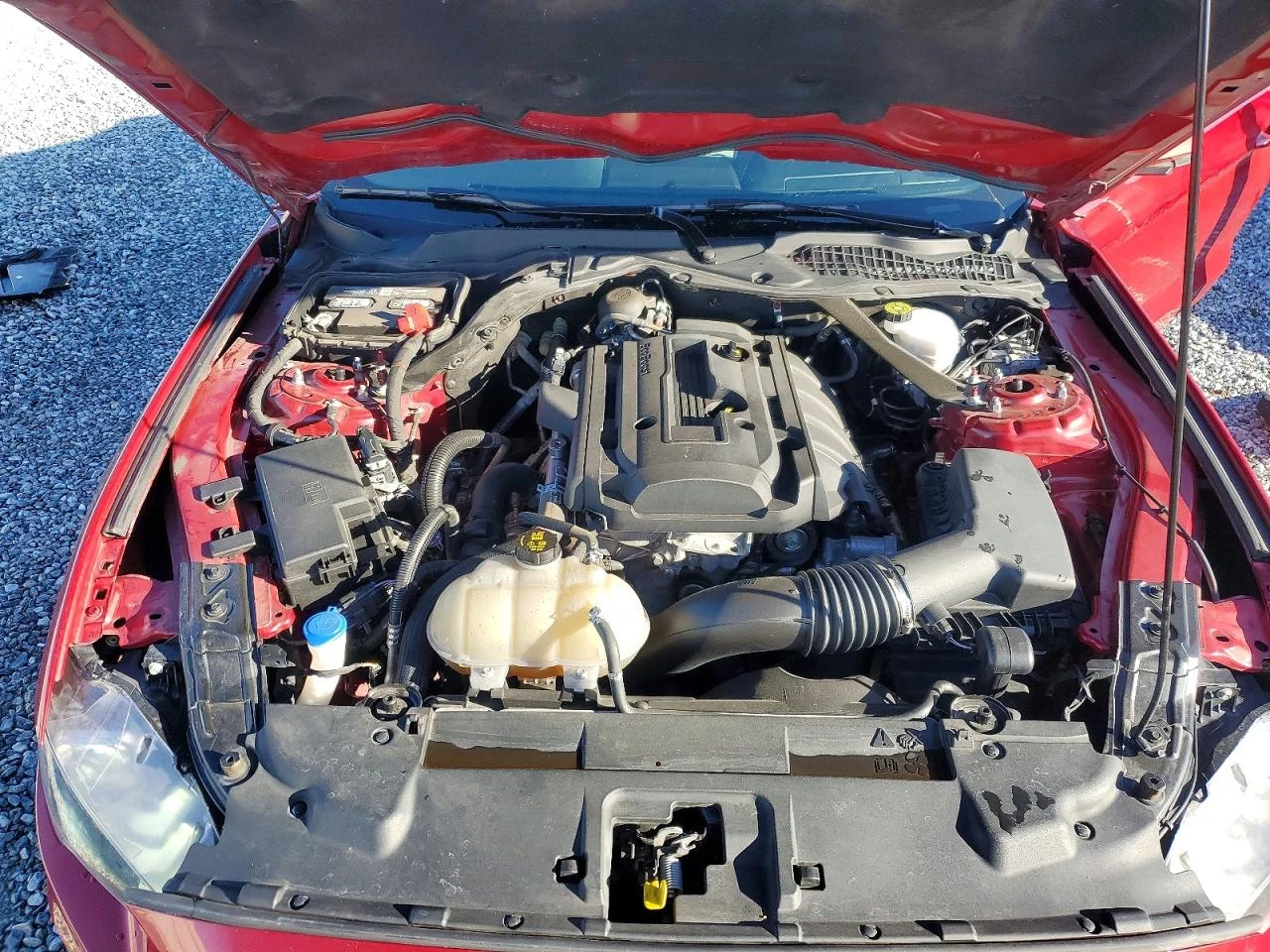 Ford Mustang 2.3l, снимка 11 - Автомобили и джипове - 54002344