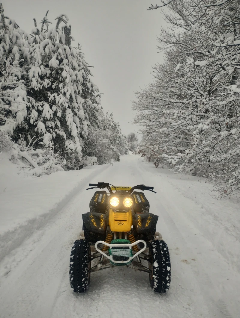 Yamaha Warrior 350, снимка 3 - Мотоциклети и мототехника - 52533885