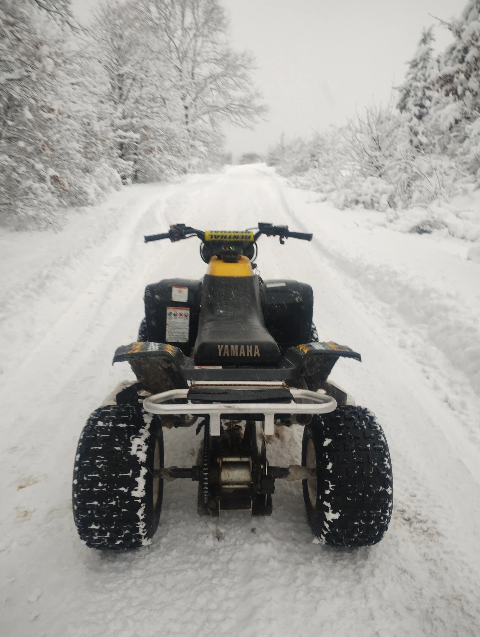 Yamaha Warrior 350 - изображение 2