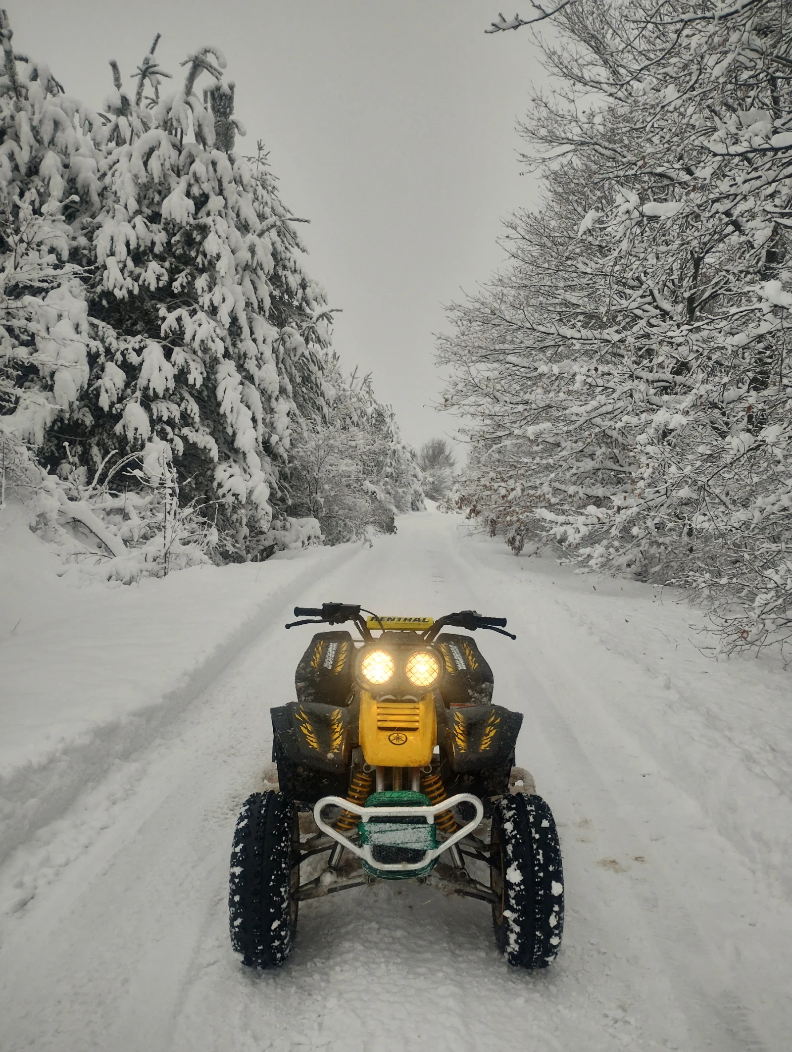 Yamaha Warrior 350 - изображение 3