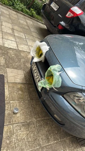 Volvo V50 - 2700 € / 5280.74 лв. - 53249464 9