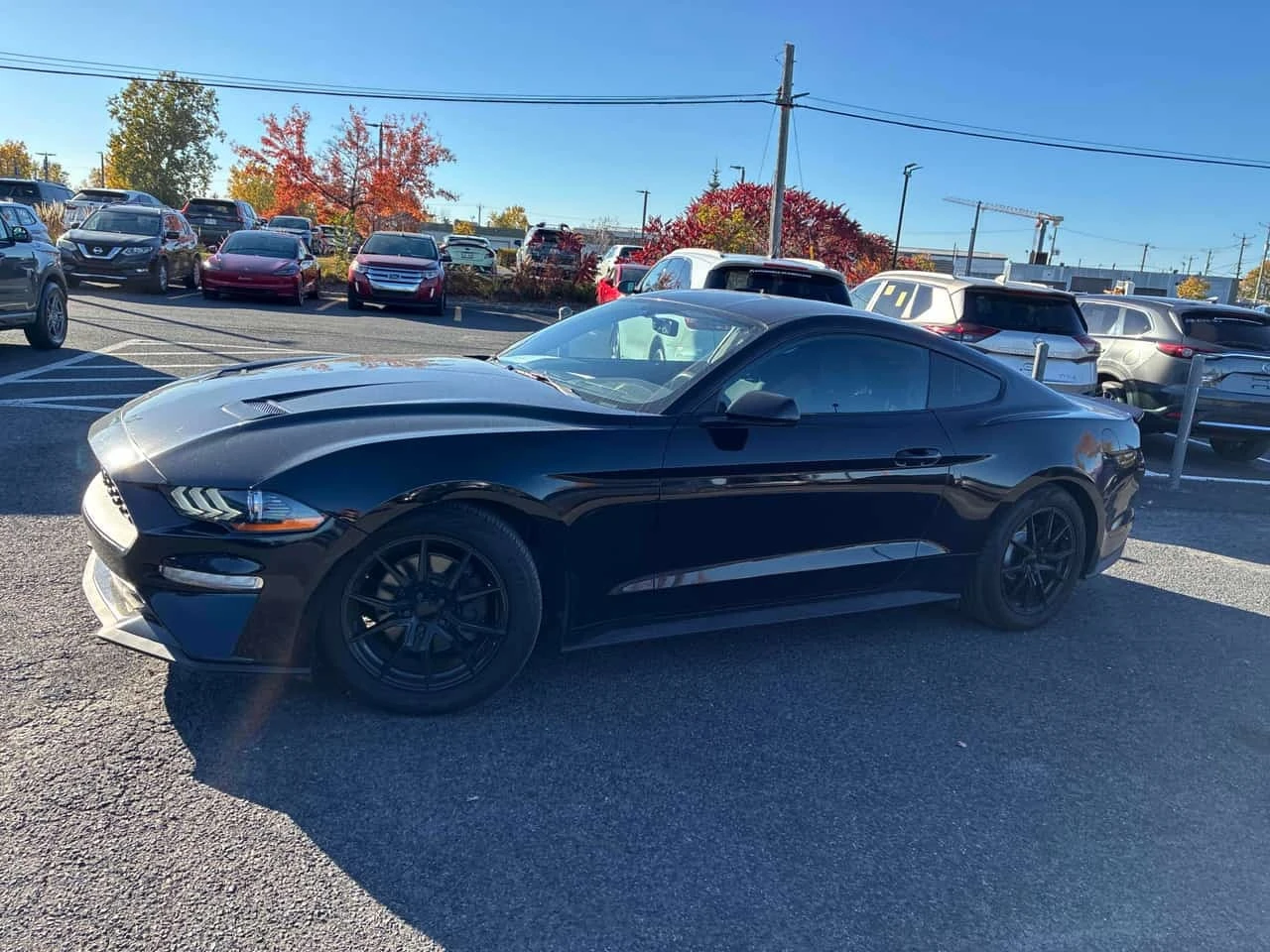 Ford Mustang * EcoBoost * CARFAX * ����� �� ����������� | Mobile.bg � ����������� 2