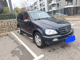 Mercedes-Benz ML 270, снимка 1