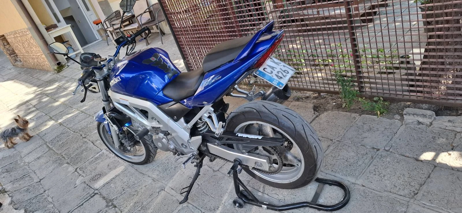 Suzuki SV, снимка 2 - Мотоциклети и мототехника - 55564488