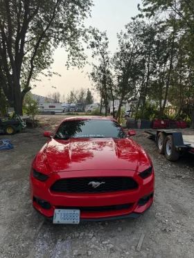 Ford Mustang * EcoBoost* HeadUp* * A* (  ) | Mobile.bg    3