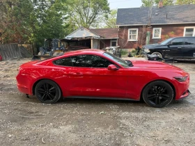 Ford Mustang * EcoBoost* HeadUp* * A* (  ) | Mobile.bg    4