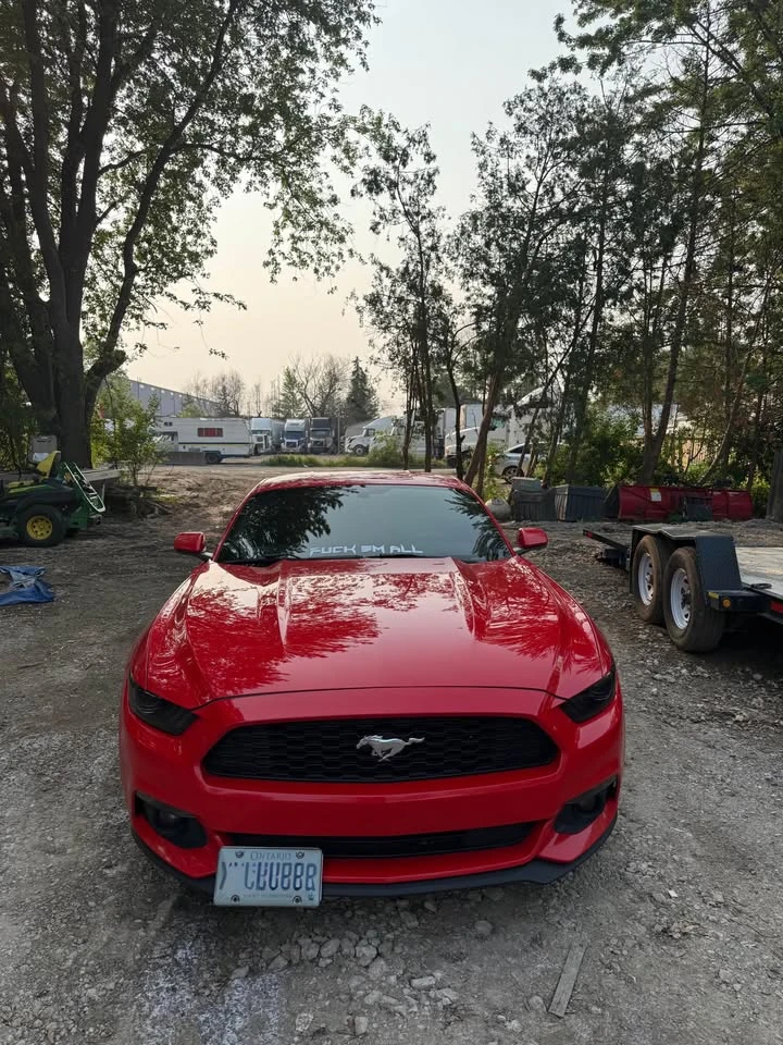 Ford Mustang * EcoBoost* HeadUp* * AвтоКредит* (ЦЕНА ДО БГ) - изображение 3