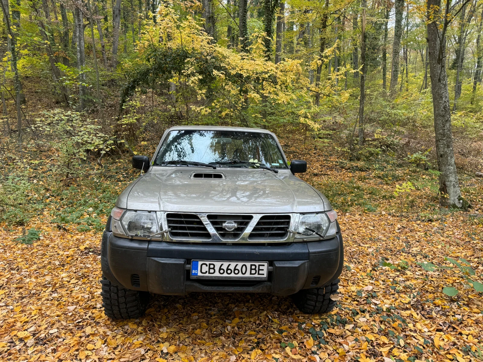 Nissan Patrol 3.0 КЛИМАТИК  - изображение 2