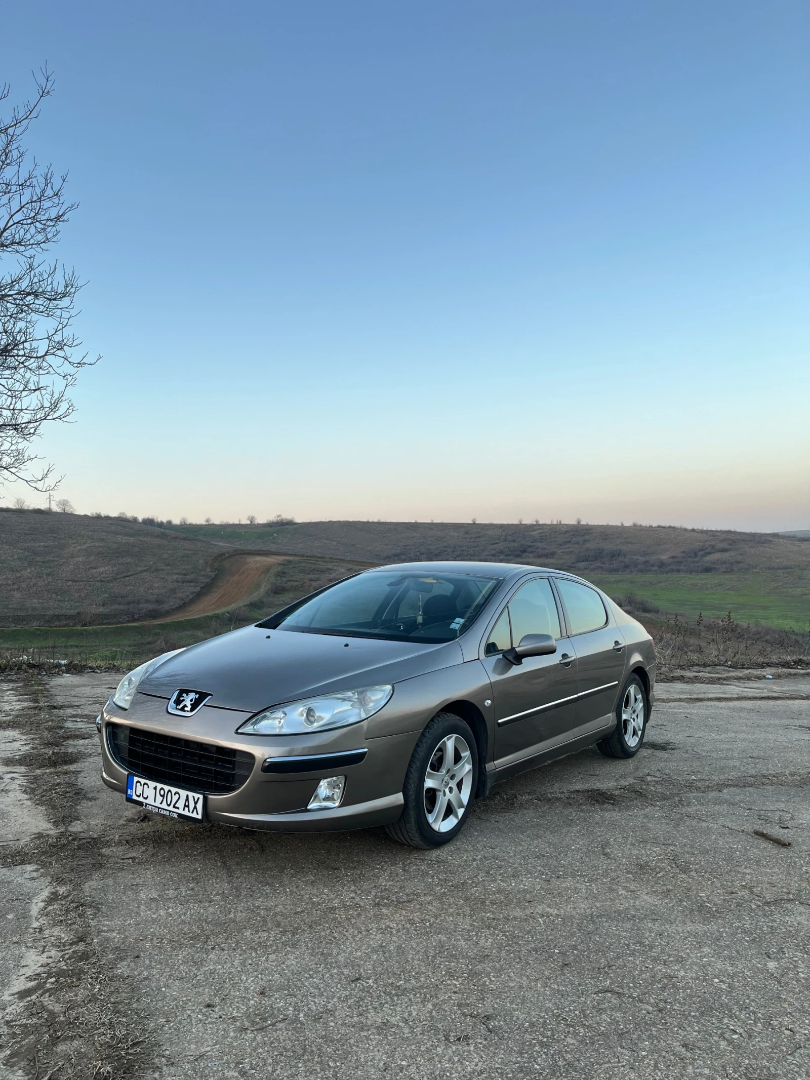 Peugeot 407, снимка 2 - Автомобили и джипове - 53753759