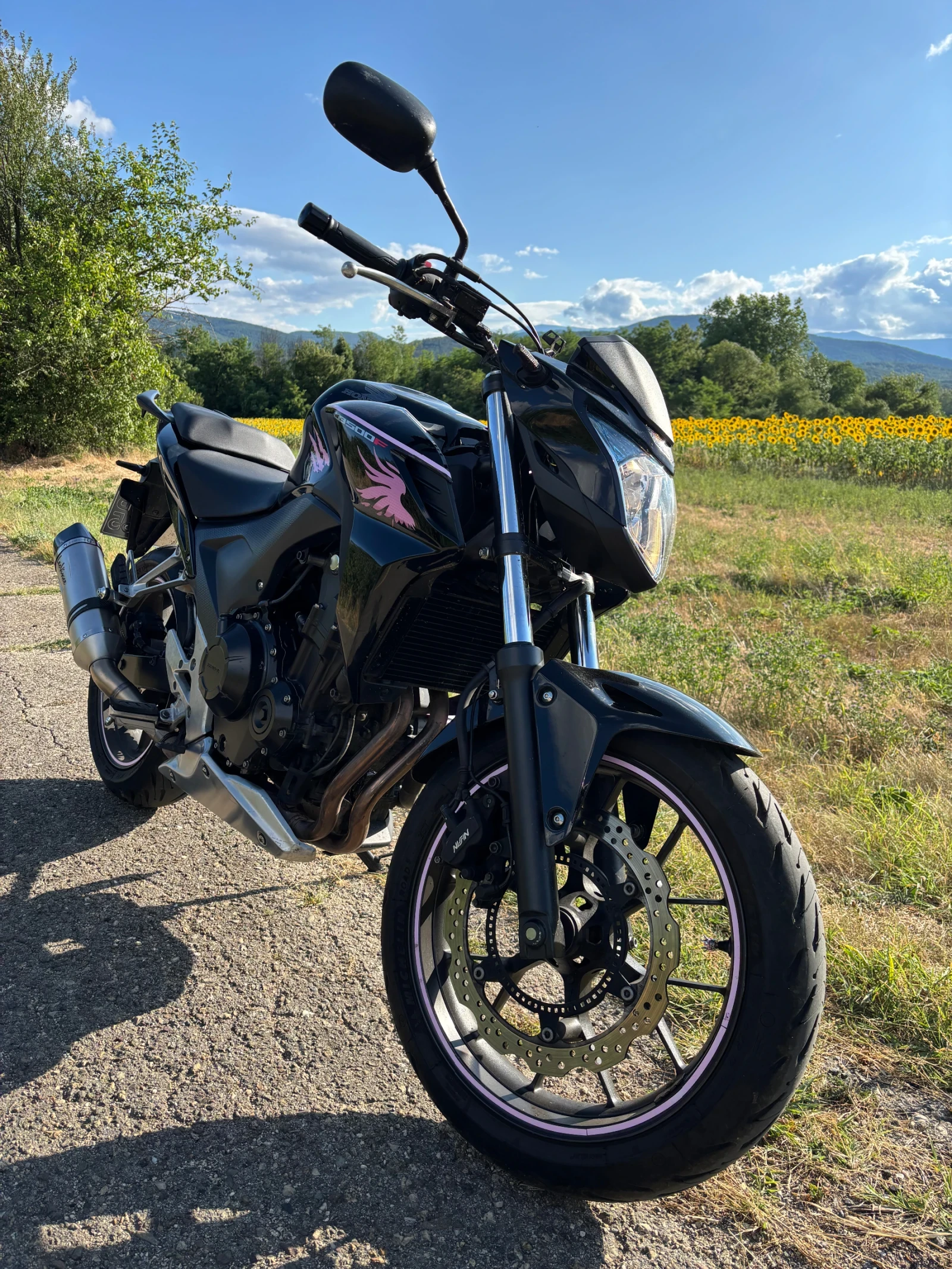 Honda Cbf  - изображение 3